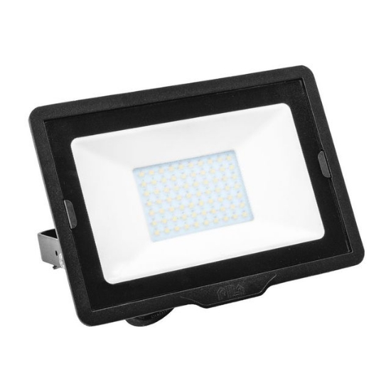 Imagine Proiector LED 50W 4000K IP65 BVP008 - PHILIPS PILA