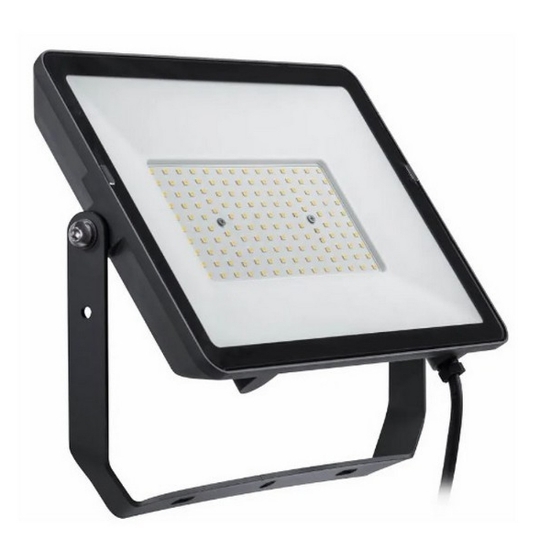 Imagine Proiector LED 100W 4000K IP65 BVP008 - PHILIPS PILA