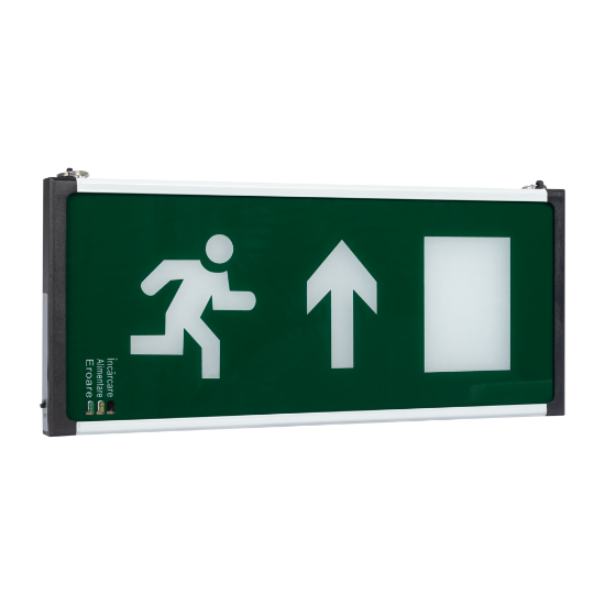Imagine Corp Emergenta LED Suspendat BASIL 2H Mentinut 2W IP40 SUS - NOVELITE