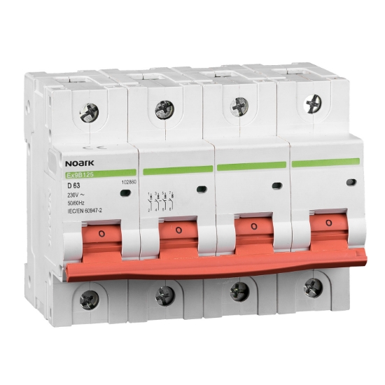 Imagine Mini-întreruptoare automate Ex9B125 4P C100A, 102852, Noark