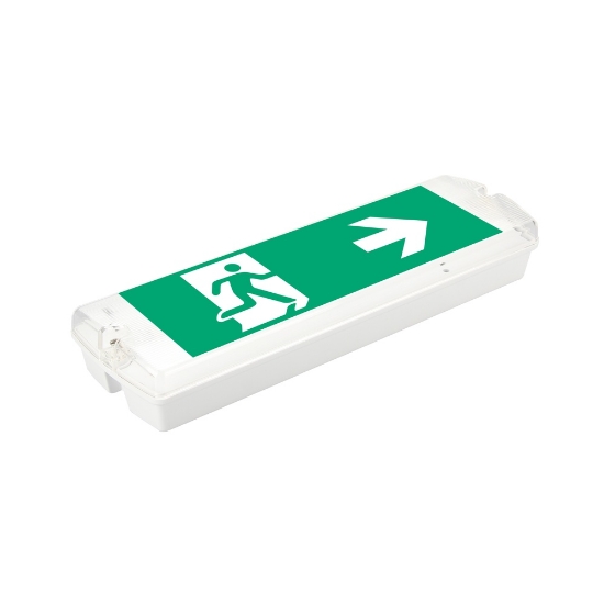 Imagine Corp Emergenta LED PT NEMO 3H Mentinut/Nementinut 3W IP65 - NOVELITE