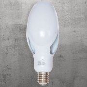 Imagine Bec LED Flower 60W E40 6500K – LOHUIS