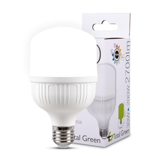 Imagine Bec LED 30W E27 6500K