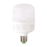 Imagine Bec LED 40W E27 6500K