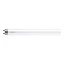 Imagine Tub LED T8 8W 840 600mm, Ecofit, Philips