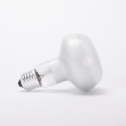 Imagine Bec Halogen Spot R80 42W E27 2900K Clar
