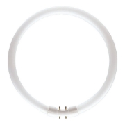Imagine Tub Fluorescent Circular TL5 22W
