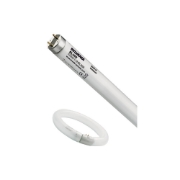 Imagine Tub Fluorescent Insecte T12 20W