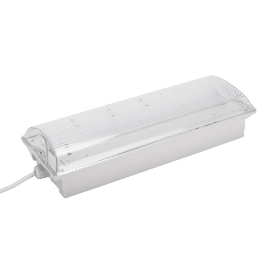 Imagine Corp Emergenta LED ODES 3H Nementinut 3W IP65 - NOVELITE