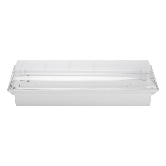 Imagine Corp Emergenta LED ODES 3H Nementinut 3W IP65 - NOVELITE