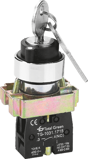 Imagine Selector cu Cheie 1ND IP40