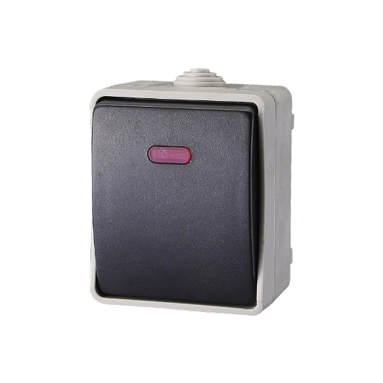 Imagine AQUATOP, comutator pe perete, IP 54 gri
