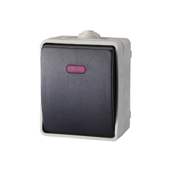 Imagine AQUATOP, comutator pe perete, IP 54 gri