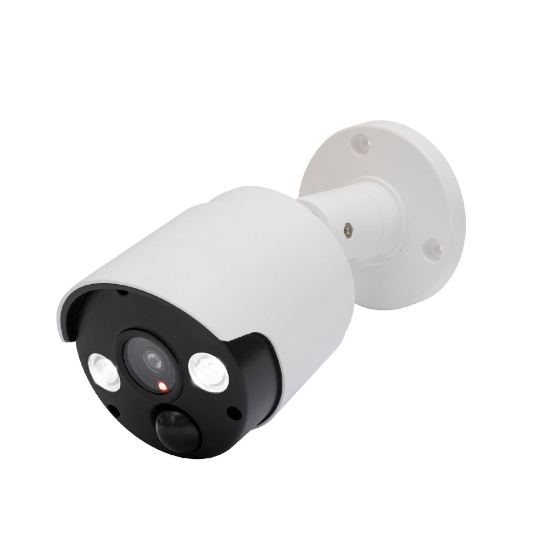 Imagine Camera falsa de exterior cu lampa