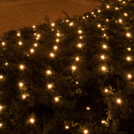 Imagine Plasa de lumini, 3x3m, pt exterior, 240 LED alb cald
