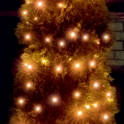 Imagine Ghirlanda LED de interior si exterior, 100 x LED chihlimbar, timer 6h/18h