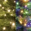 Imagine Ghirlanda cu LED-uri, DUAL COLOR