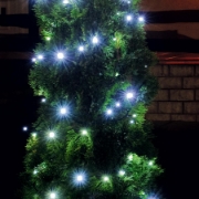 Imagine Ghirlanda cu LED-uri
