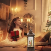 Imagine Felinar cu lichid si sclipici, ostas