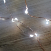 Imagine Ghirlanda microLED, 160 LED, alb rece, de exterior