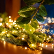 Imagine Ghirlanda cu LED-uri micro
