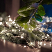 Imagine Ghirlanda luminoasa cu micro LED-uri, temporizator 6/18 ore, 20 micro LED-uri alb rece