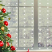 Imagine Perdea de lumini microLED, interior, 3x2m, 10 fire/20xLED, alb rece, 8 progr.