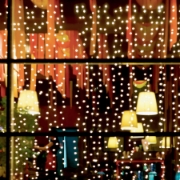 Imagine Perdea de lumini microLED, 20 fire/20 LED, alb rece, de exterior