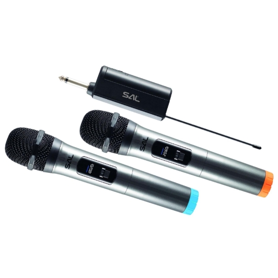 Imagine Set microfon, fără fir, 2xMIC, 20 m