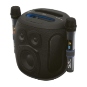 Imagine BoomBox, 2 microfoane fara fir, rezistent la apa