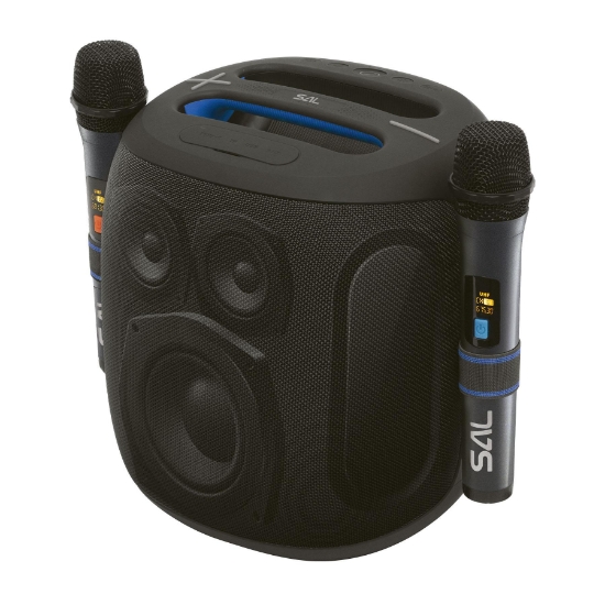 Imagine BoomBox, 2 microfoane fara fir, rezistent la apa