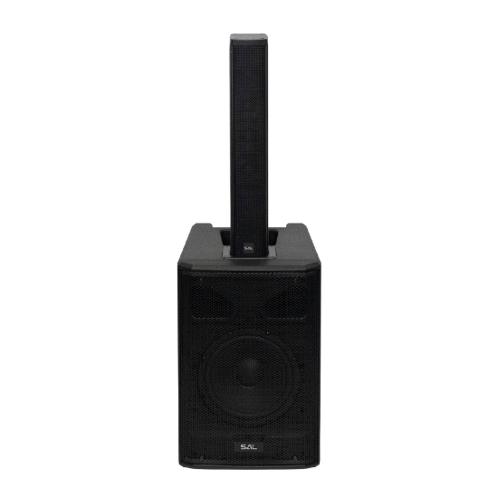 Imagine Sistem profesional, 20 cm