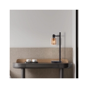 Imagine LAMPA DE MASA S008T-1H-1xE14-SLV STICLA