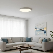 Imagine PLAFONIERA LED 20W 5in1 1600lm IP40 JADE-G2-SLR ALB RND