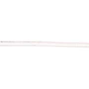 Imagine Bandă LED 230V COB 10W/m 6400K IP65 Rolă 100m - ERSTE