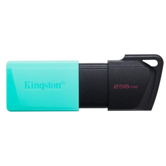 Imagine KINGSTON PENDRIVE 256GB