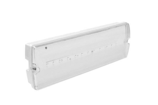 Imagine Corp emergenta LED 3W 300lm IP65 IK07 3H LiFePO4 6400K (ne)permanent
