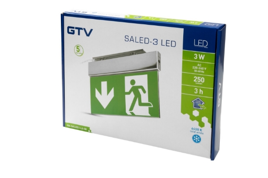 Imagine Corp iluminat emergenta SALED-3 LED 3W 250lm 3h IP44 TEST